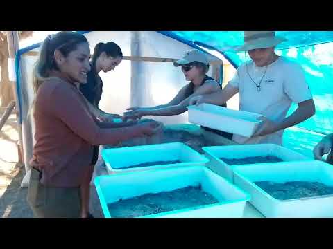 Vivero Forestal de Nativas #3 - San Carlos, Salta