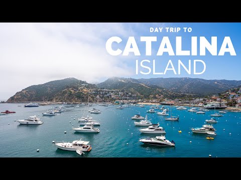 Catalina Island Day Trip: What to do in Avalon in One Day