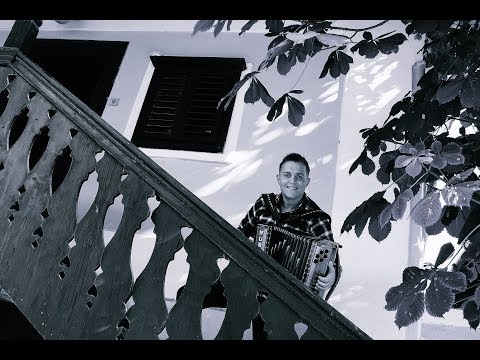 NEJC KASTELIC - PRIDI NA OKENCE (2017)