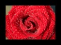 Jody Watley Flower (HD) Contemporary R&B