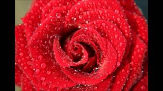 Jody Watley Flower (HD) Contemporary R&B