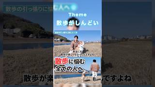犬の散歩がしんどい人に伝えたいこと