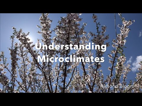 Understanding Microclimates: Almonds in Utah? How to get the most out of areas around your foodscape
