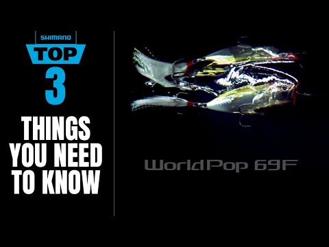 TOP 3 THINGS Y...