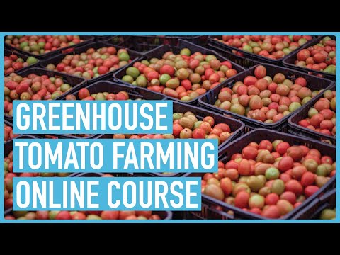 Profitable Pig Farming and Best Practices for success Course Outline