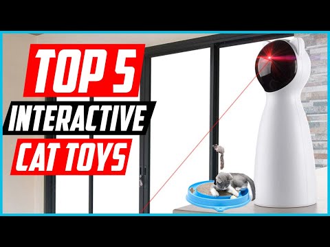 ✅Top 5 Best Interactive Cat Toys in 2024
