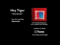 Hey Tiger - Overdrawn