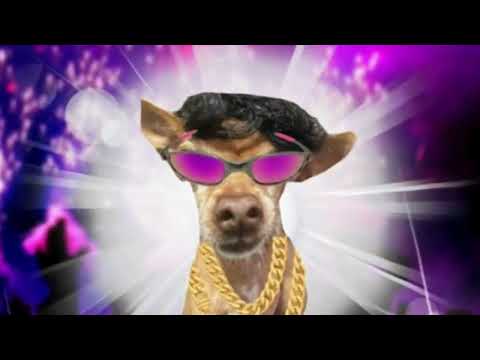 MC COSTELA - Dono do Morro