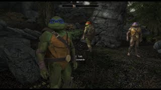 The Teenage Mutant Ninja Turtles Followers in Skyrim SE Mod