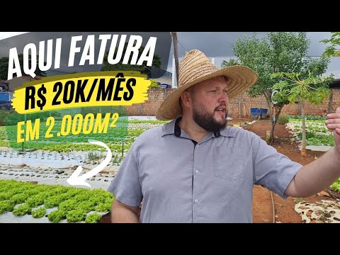 Como ganhar dinheiro com hortaliças?