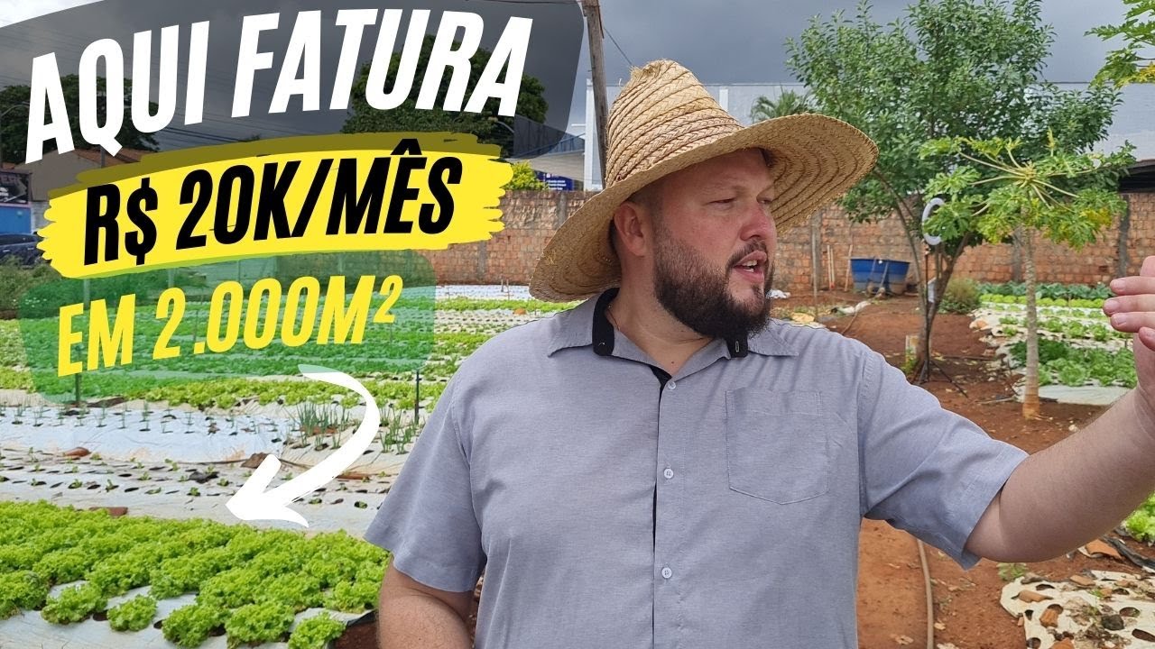 Como ganhar dinheiro com hortaliças?