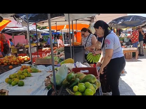 FEIRA LIVRE NA CIDADE DE CARNAUBAL CEARÁ DIA 20/02/26