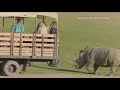 What S New At The San Diego Zoo Safari Park