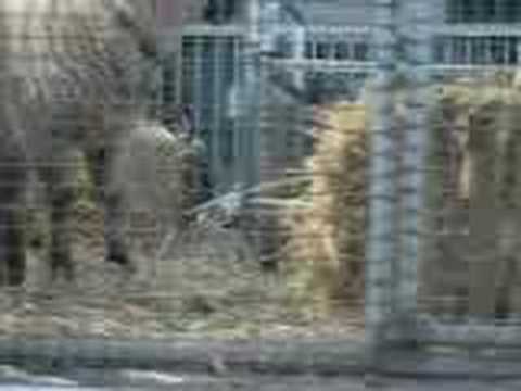LAG B'OMER MELBoURNE
