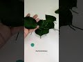 Hibiscus Leaves Decoration Ideas For Ganesh Chaturthi Festival Actstudiotipsy Shorts Youtubeshorts