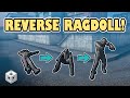 Stand Back Up How To Reverse Ragdoll Physics Unity Tutorial