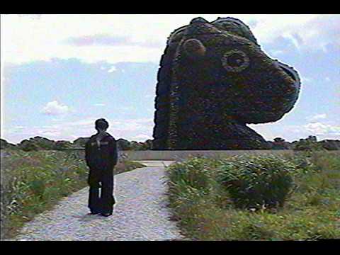 EC - CANOPY (Official Video)