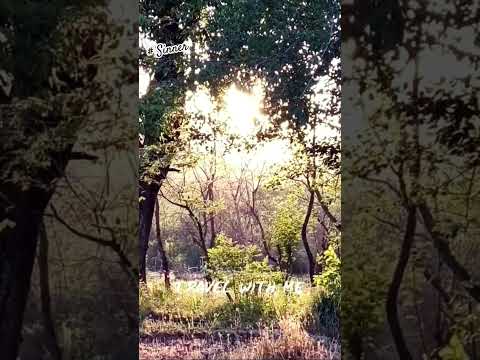 duji vaar pyaar || sunanda sharma || #song #nature #shortsvideo  #just listen #travel | jaani |