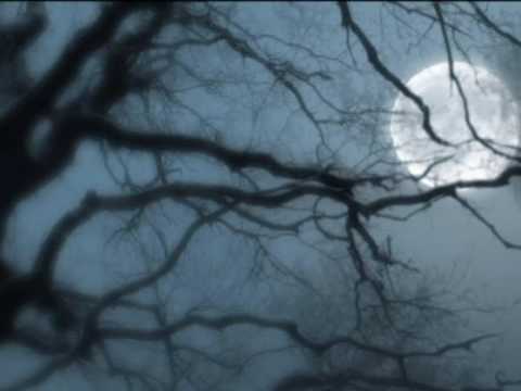 "Love Remembered" - Wojciech Kilar (OST Dracula)