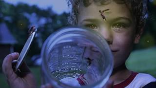 Miranda Lambert   Me and Charlie Talking