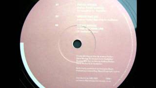 Andrea Parker feat DJ Assault & DJ Godfather - Freaky Bitches