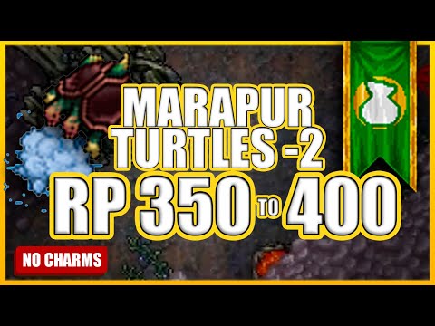 RP 350 to 400 – Marapur Turtles -2 [PROFIT] | Where to hunt Paladin | Tibia