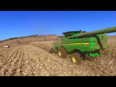 Corn Harvest 2016