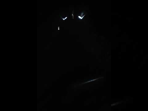 Euliana valea teilor