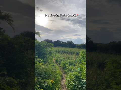 Boa Vista dos Caulas Canindé📍