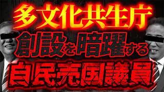 ”多文化共生庁”創設へ暗躍する自民党売国議員の正体！？【4/18ウィークエンドライブ②】山口敬之×長尾たかし×西村幸祐