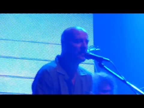 Pajaro Negro video
