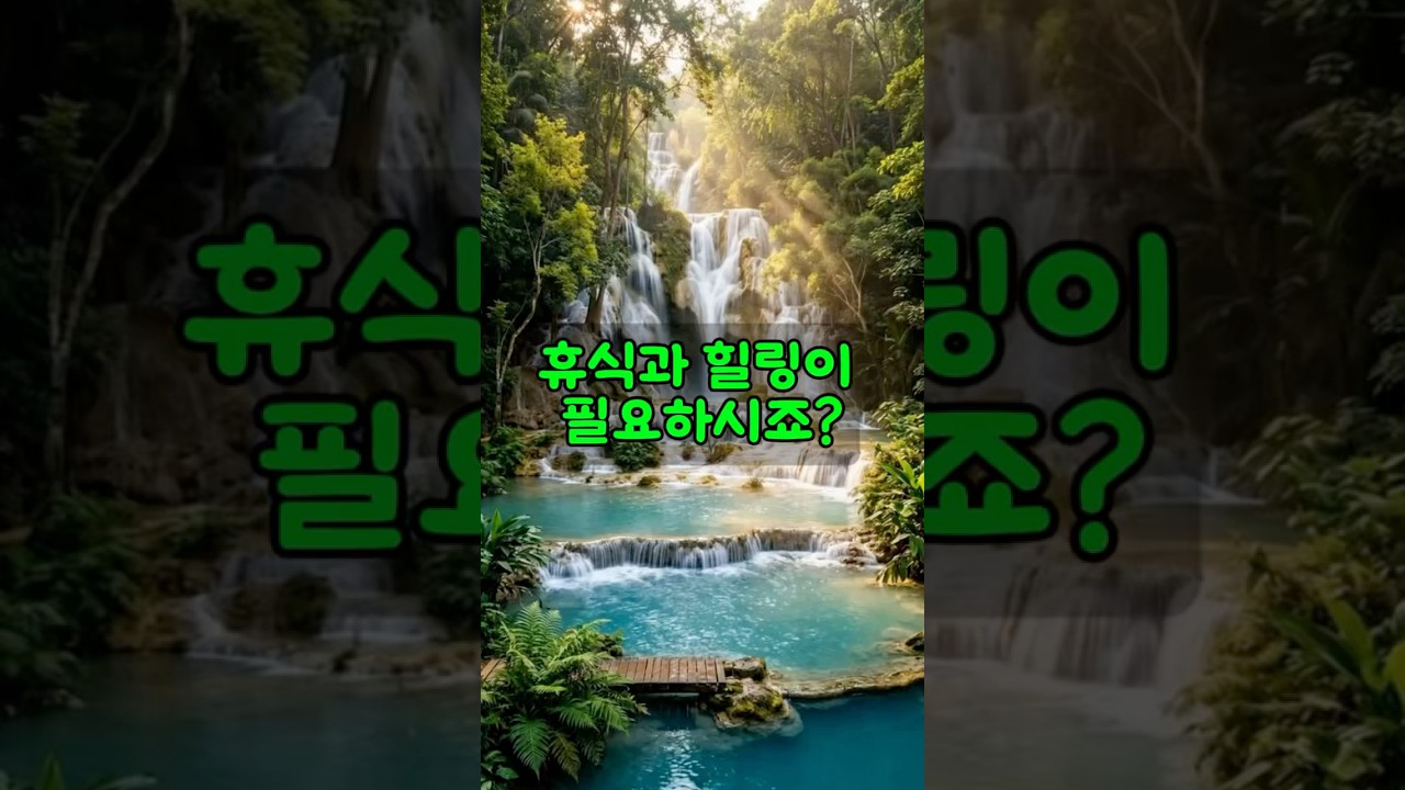 🎧 당신을 위한 에메랄드빛 휴식 (Plan BGM Vol.4)