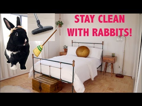 YouTube video about: How to store hay for rabbits?