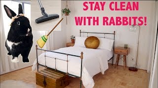 HOW TO KEEP YOUR HOME CLEAN & ORGANIZED WITH RABBITS