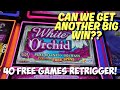 Retriggers Would Not Stop on this White Orchid Slot Machine! BIG WIN!