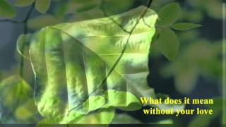 Roger Daltrey - Without Your Love [w  lyrics] - YouTube12