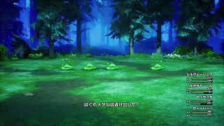 ドラクエ3　14時間目～ 鳥🐥...