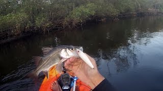 preview picture of video 'Pesca de Caiaque - Robalinhos em Barra do Una/Peruíbe - Só Plug (Kayak Fishing)'