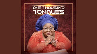 Musik-Video-Miniaturansicht zu One Thousand Tongues Songtext von Funmi Oyetti