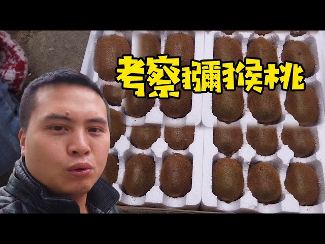 Video Pronunciation of Xuxia in English Video Pronunciation of Xuxia in English