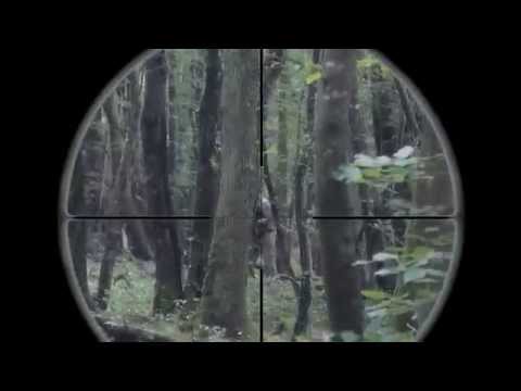 Airsoft Sniper | M40A3 | 450 fps | Scope cam