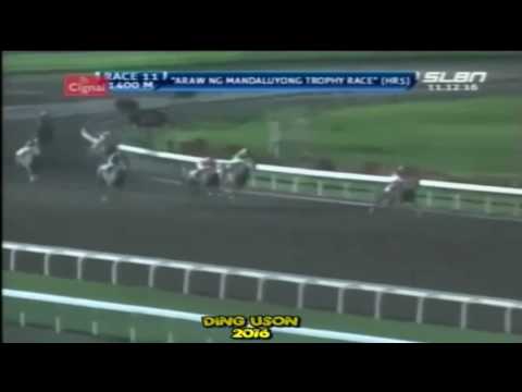 SLLP | Race 11 | 5th place - #7 Hidden Eagle | 2016/11/12