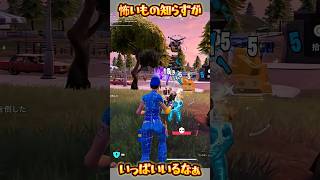 【FORTNITE】怖いもの知らずが