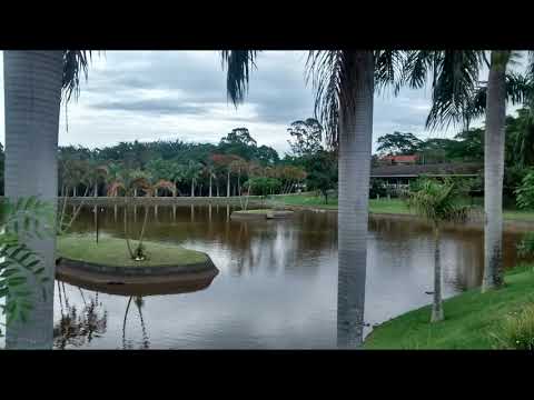 Suplemento  S - 87 - A intenção de Deus - Hinos eav