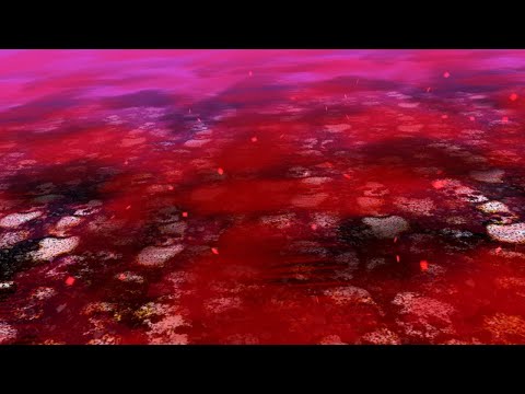 東方鬼形獣 ～ Wily Beast and Weakest Creature - Extra Stage Background in 4K 16:9
