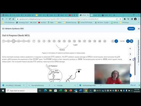 Mrs. Murdock Reviews a Unit 6 Mult ch. Question