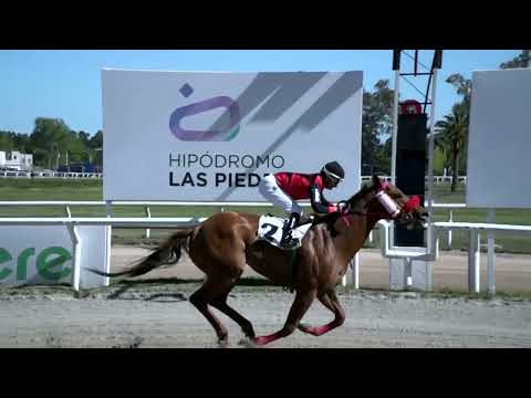 221007 c01 - SATAMENTE - HIPODROMO LAS PIEDRAS