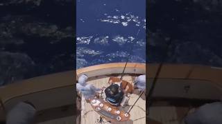 Memancing ikan marlin biru di distrik kona pulau hawaii #shorts #fyp #fishing #mancing #ikan #marlin