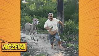 TENTE NÃO RIR 😂 MELHORES MEMES E VÍDEOS ENGRAÇADOS DO ANO