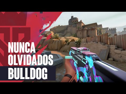 Nunca Olvidads Bulldog Skin Showcase - Nunca Olvidados Skins